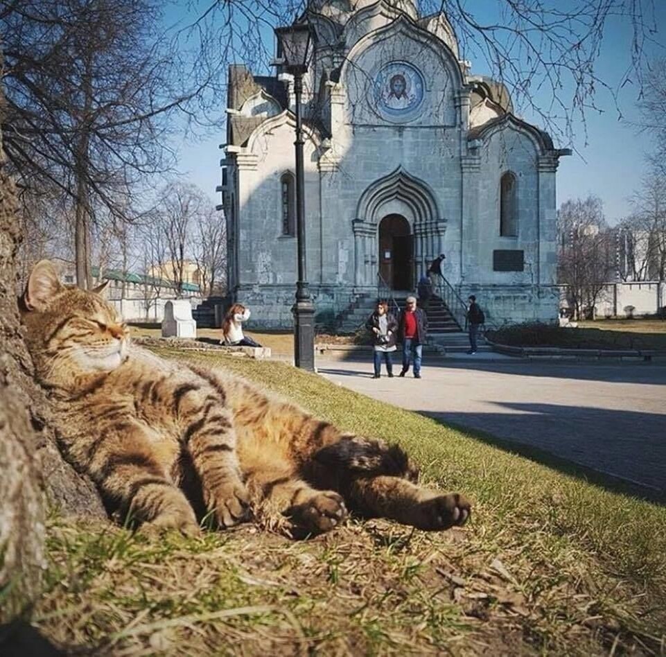 фото использовано в качестве иллюстрации. Источник "Яндекс.Картинки"