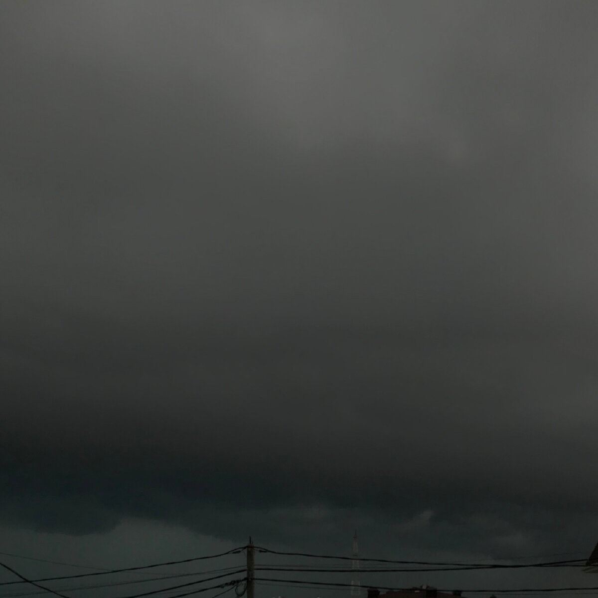 Если бы твои лёгкие были природой, то они бы выглядели именно так