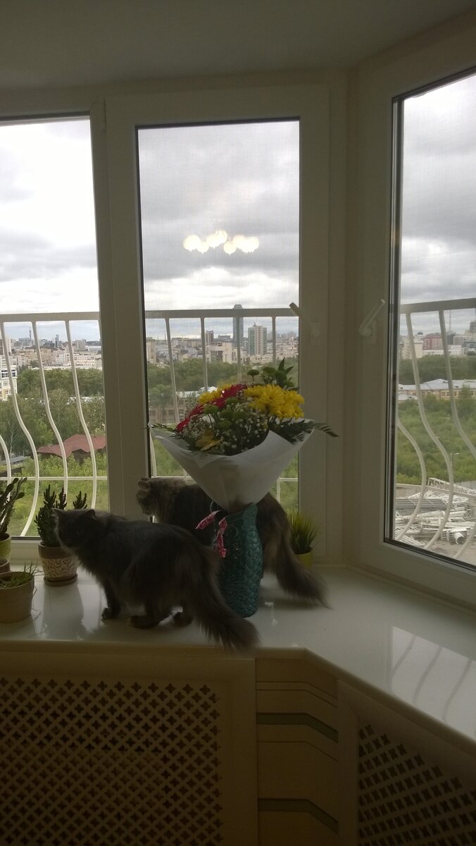 Некоторые преступления "хвостатой мафии" можно предупредить. Личное фото