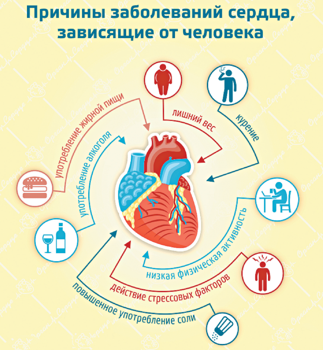 Основные причины болезней. Болезни сердечно сосудистой системы схемы. Профилактика сердечно-сосудистых заболеваний. Причины возникновения сердечно-сосудистых заболеваний. Причины развития сердечно-сосудистых заболеваний.