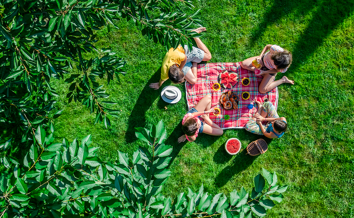 When we have a picnic. Пикник на траве вид сверху. Пикник вид сверху. Пикник на газоне. Пикник спиной.