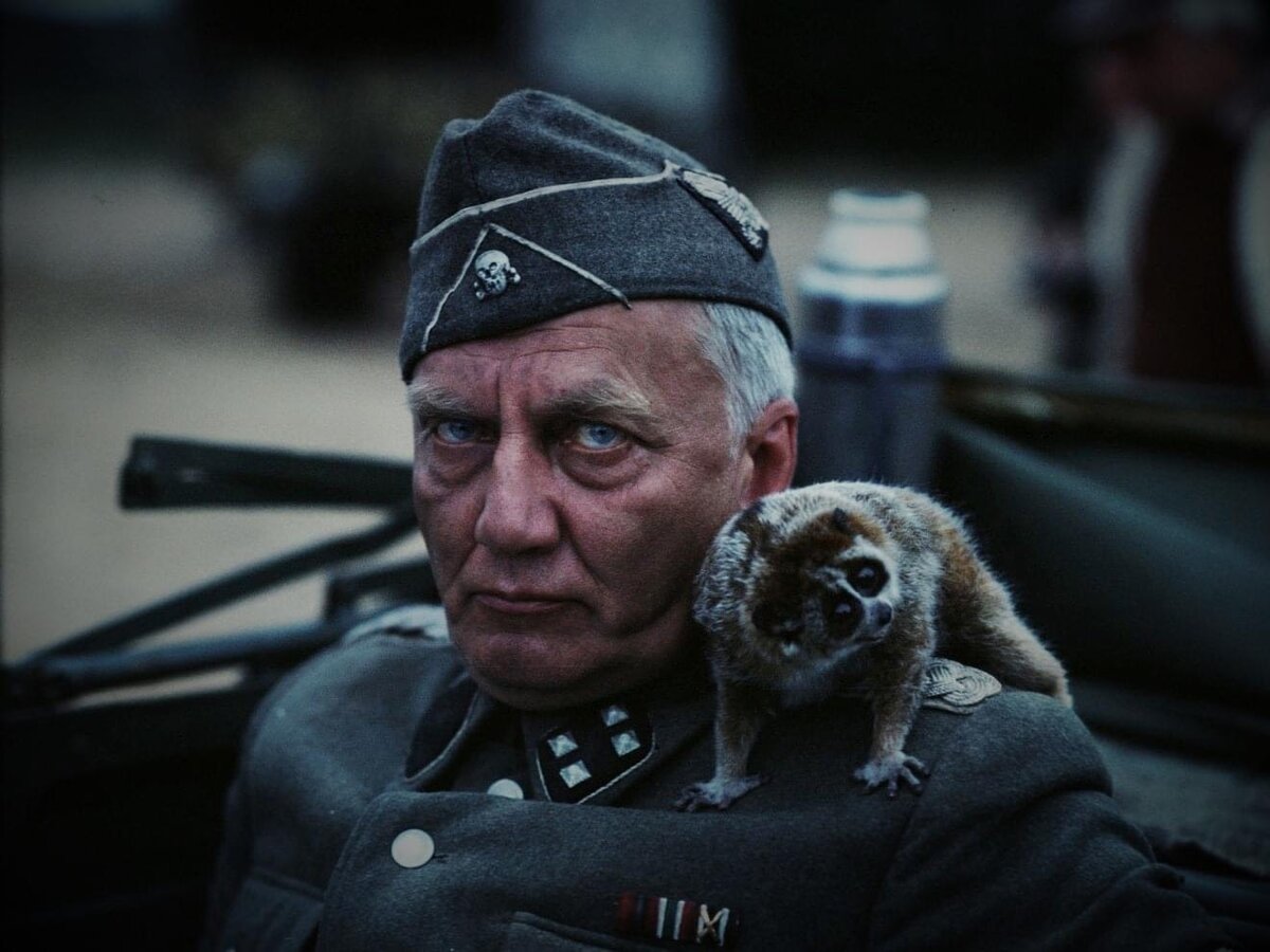 Исполнитель роли командира карателей в известном фильме "Иди и смотри",