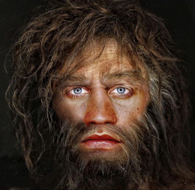 Источник фото: designcrowd.co.nz