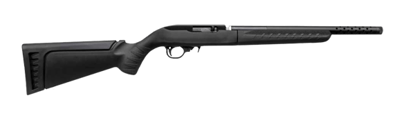 Ruger 10/22.
