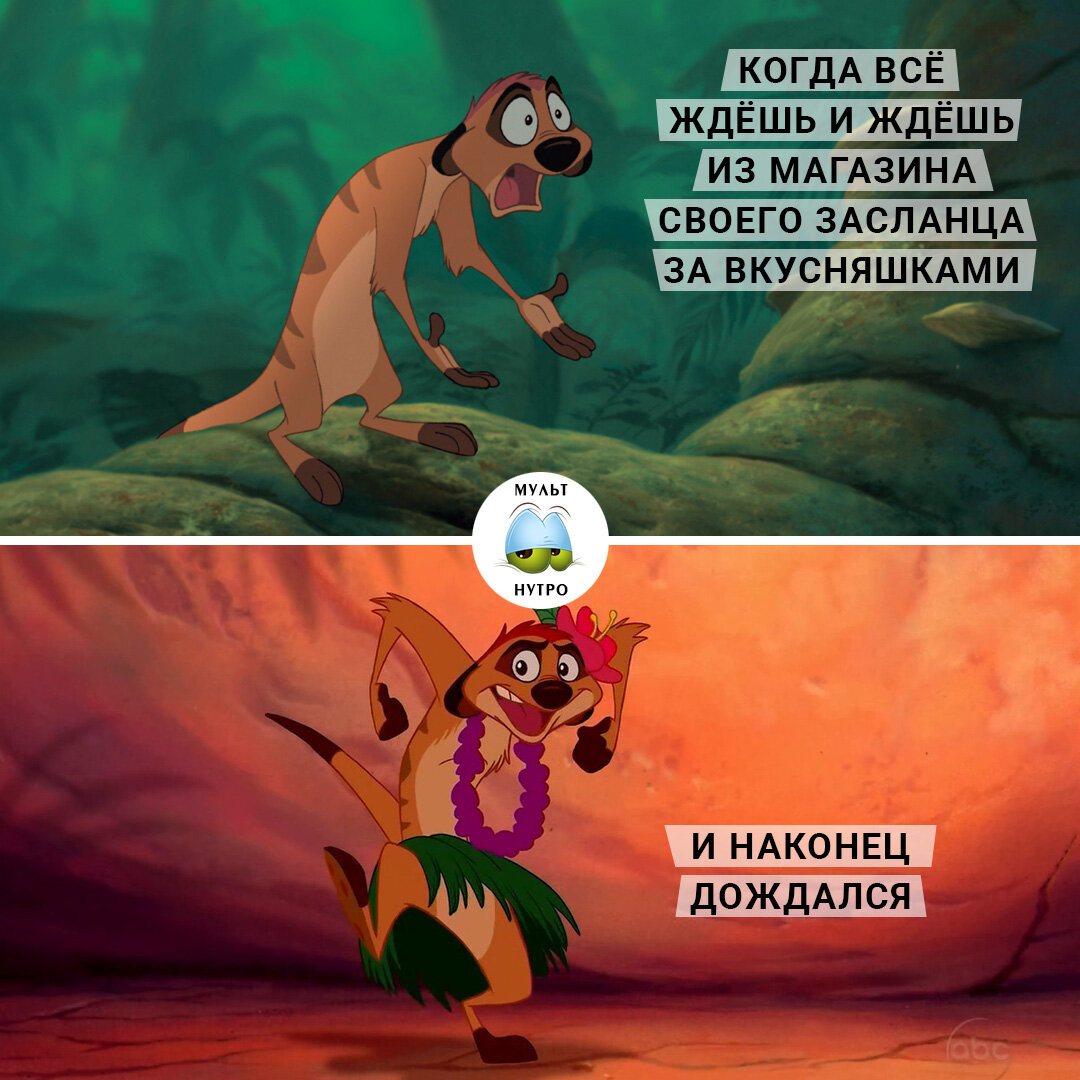 (мультсериал «Тимон и Пумба»)