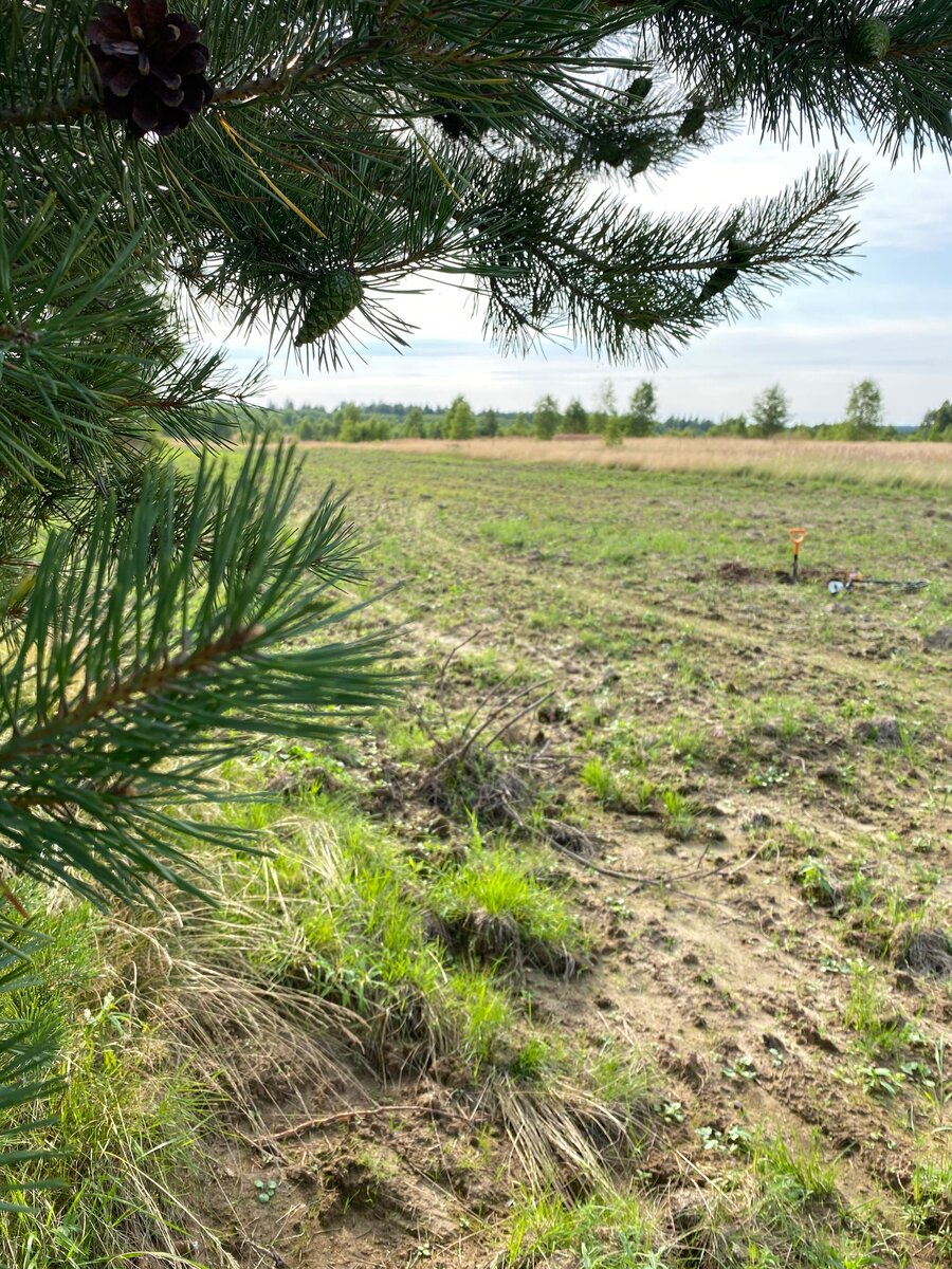 Погода шепчет