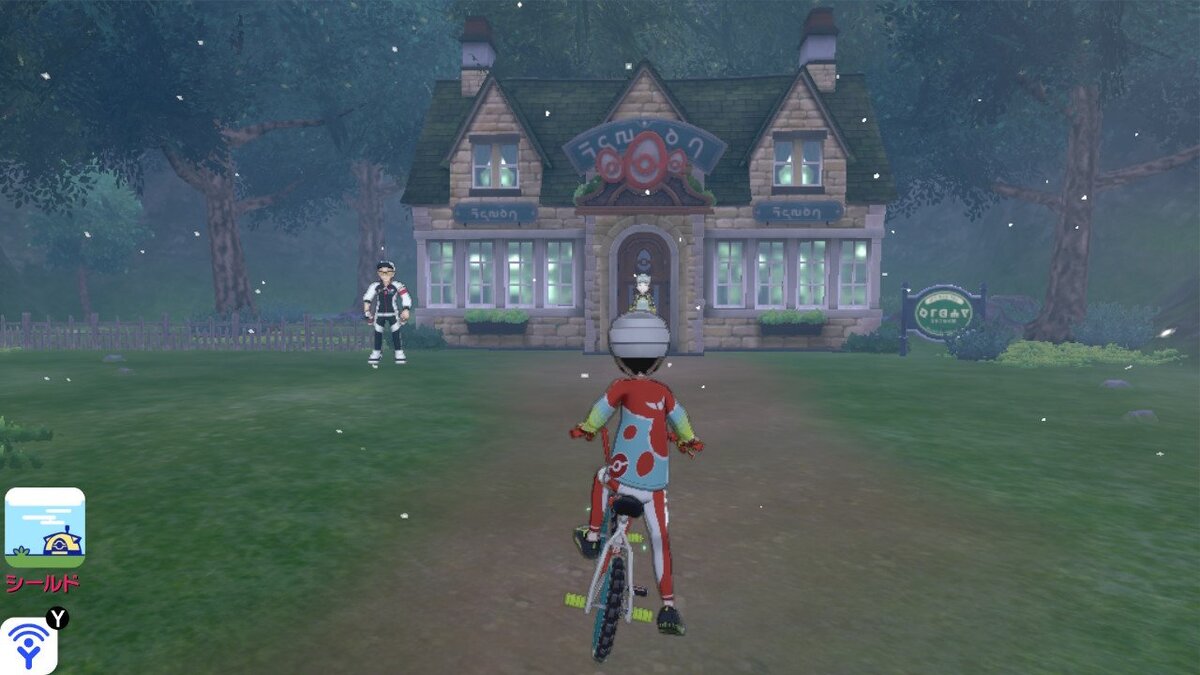 Pokemon Nursery в Wild Area