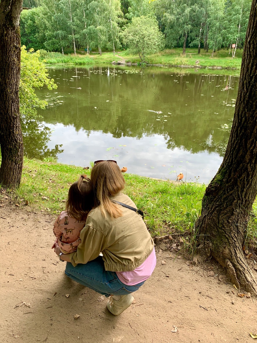 Большой Садовый пруд, Москва