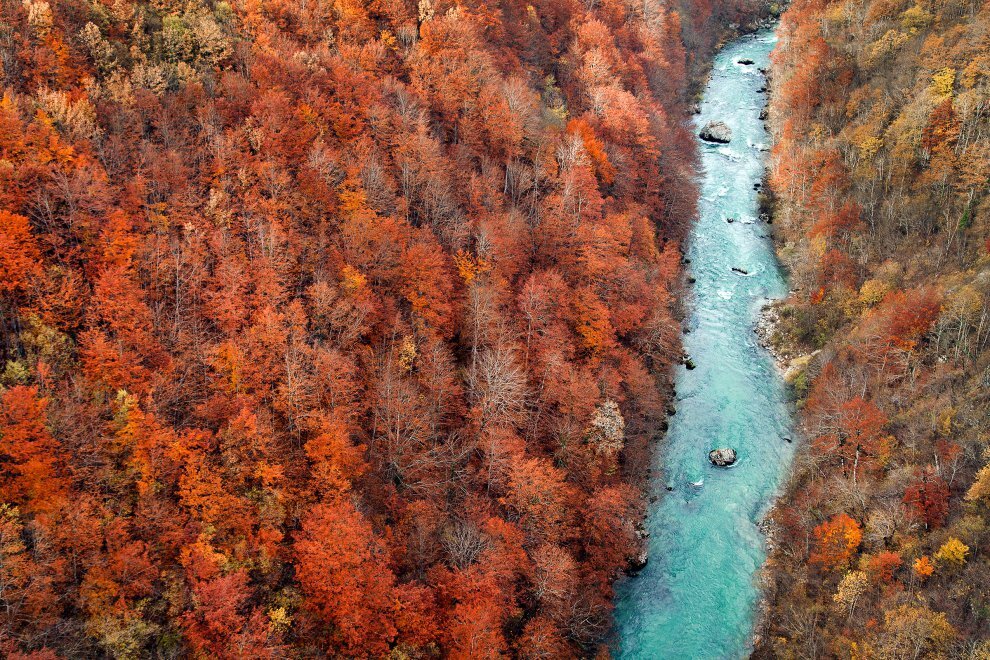 Каньон реки Тара, Черногория. Фото из интернета