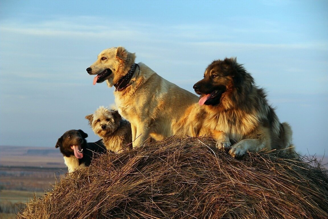 Фото взято с Яндекс.картинки