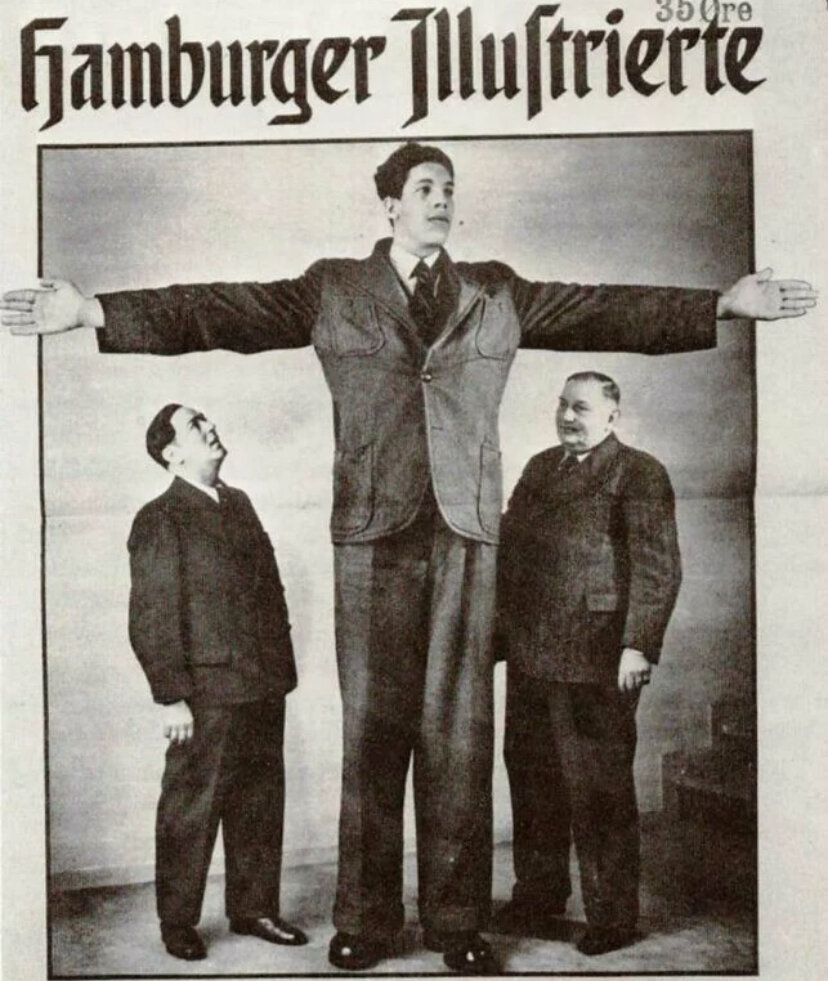 Изображение взято из Яндекс картинок.