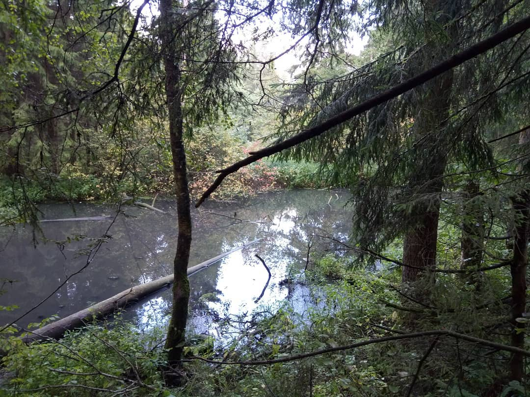 Рассказы истории из жизни яндекс дзен. Марьины рассказы дзен. Марьины рассказы дзен. Марьины рассказы дзен. Марьины рассказы дзен.