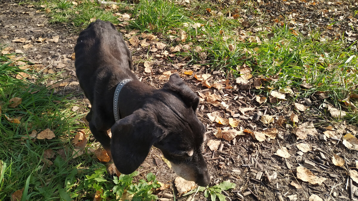 Фото осенние, зимние уже куда грустнее