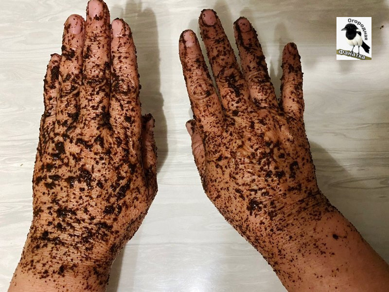 Просто выливаю кофейную гущу на кисти рук и немного массирую, потом оставляю минут на пять, чтобы кожа ею напиталась