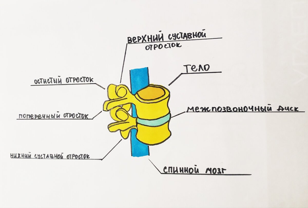 А что как называется
