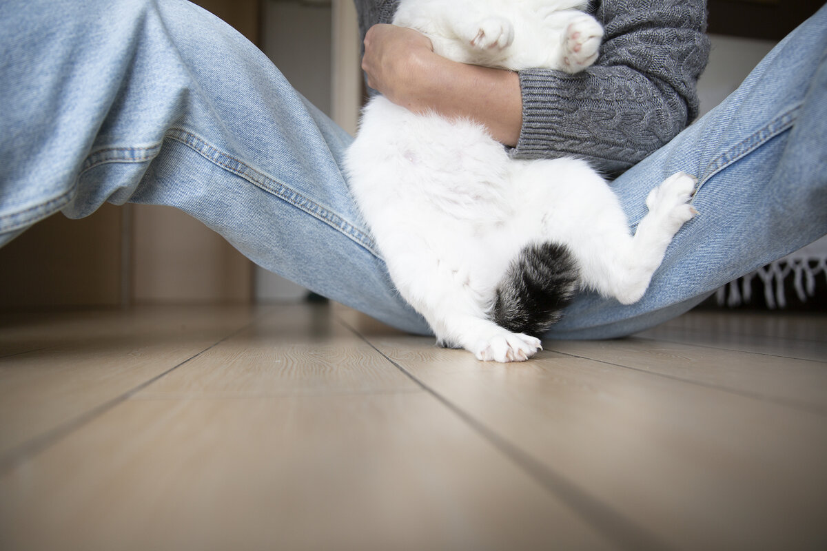 Вон как хвост распушила и когти высунула, Листайте