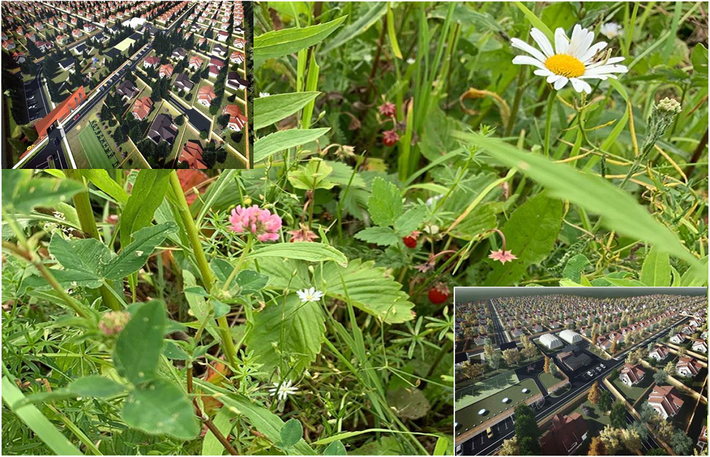 Коттеджный поселок ОлВиль, где мы строили этот дом, и окружающая его природа