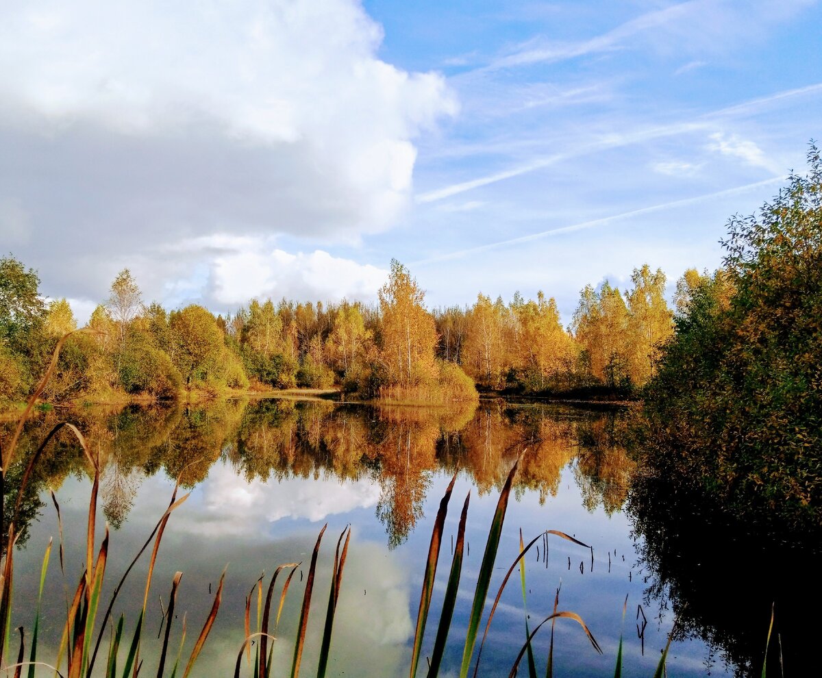 Осень-чудесная пора