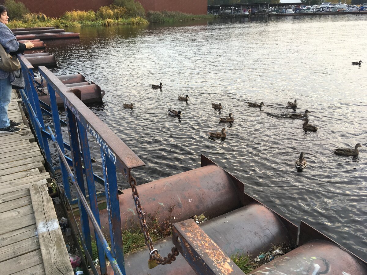 У ПОНТОННОГО МОСТА НА Р, ДОНХОВКА