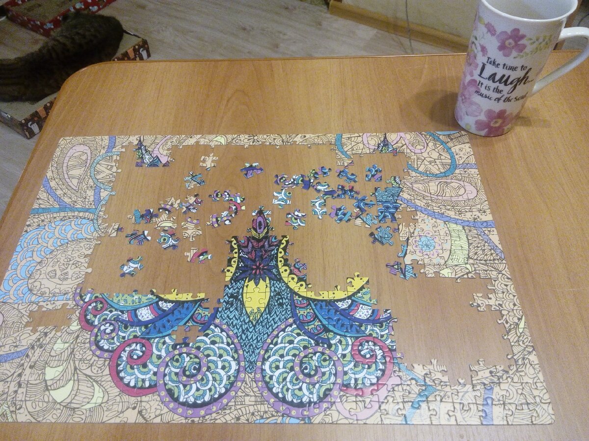 Фото автора. Кошка утомилась наблюдать и уснула. :)