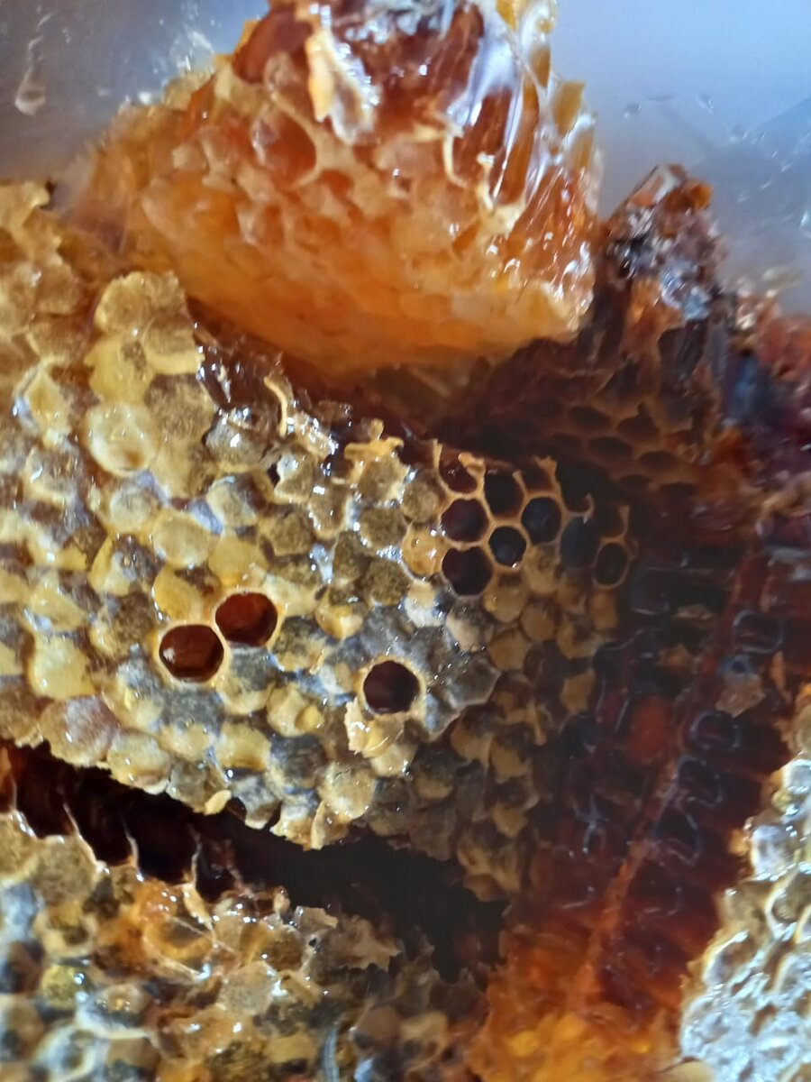 Мед при гипертонии — Добрый пасечник