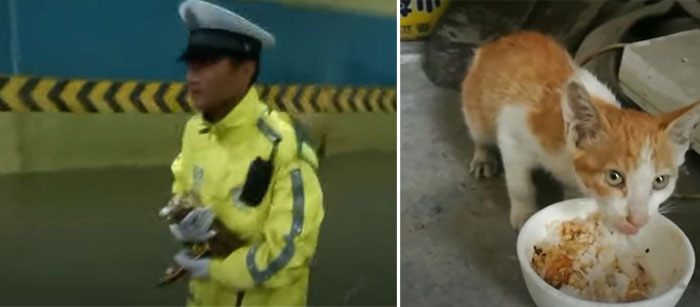 Источник: www.youtube.com