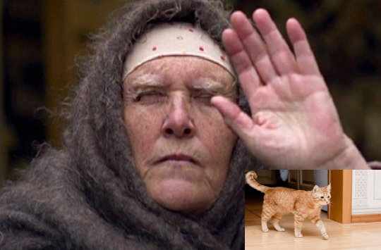 Древние приметы – на новый лад. Что делать, если в приметы верится и предстоит переезд в новый дом, или в офис, в кабинет, а кошки или кота – нет? И завести домашнее животное и ухаживать за ним – нет условий и нет возможности. 