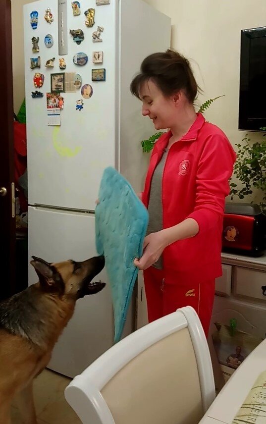 Начало занятий. Главное - проявлен интерес