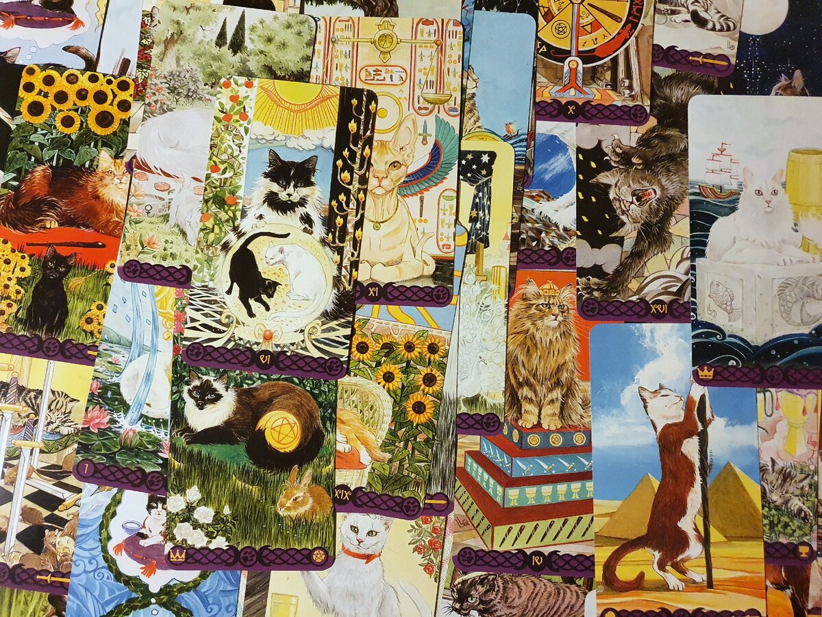 Pagan cats tarot - фото моё