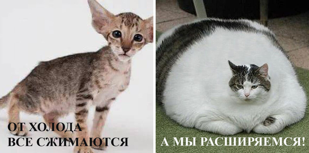 Именно так!