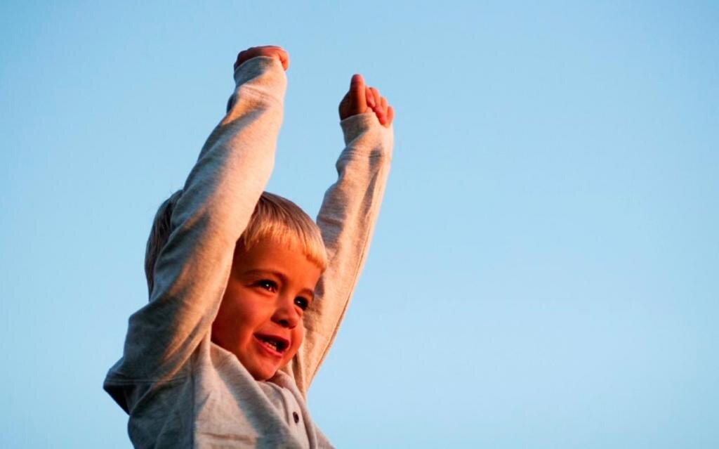 Взята с открытых источников