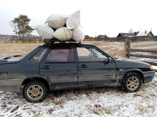 Привёз солому 12 мешков. Фото автора.