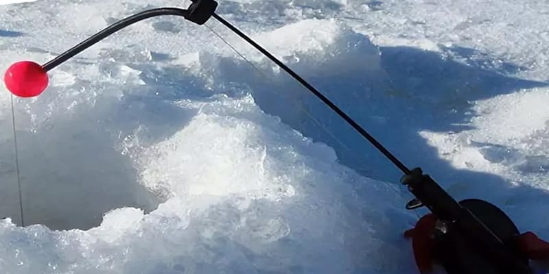 Зимние донки