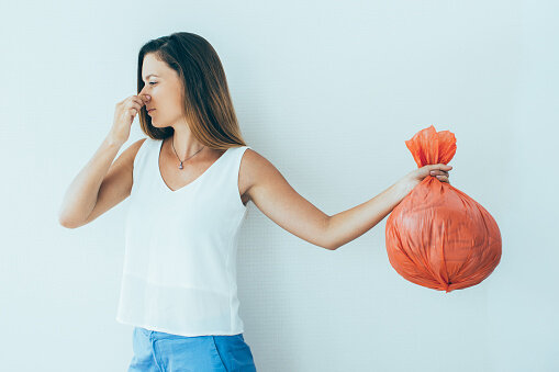 Источник фото: Pixabay.