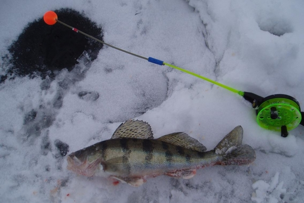 Зимняя ловля на блесны со дна - Рыбалка в Украине