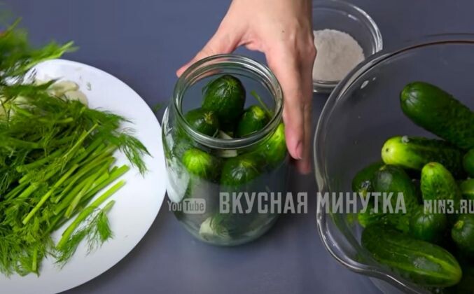1. Огурцы помыть и вымочить в воде один-два часа, нарезаю укроп и чищу чеснок, в чистую банку выкладываю немного укропа, затем огурцы, еще укроп, чеснок и снова немного укропа, еще огурчики, если помещаются и еще чеснок.