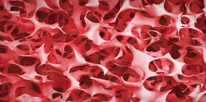 Структура желе