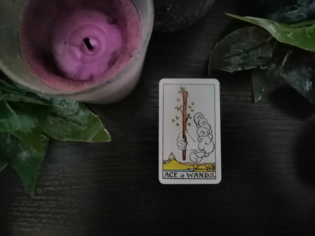                                                            Фото из личного архива.