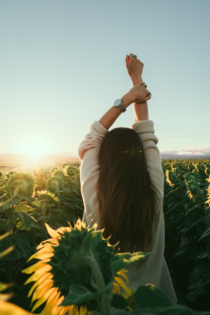 Photo by Rowan Chestnut on Unsplash 