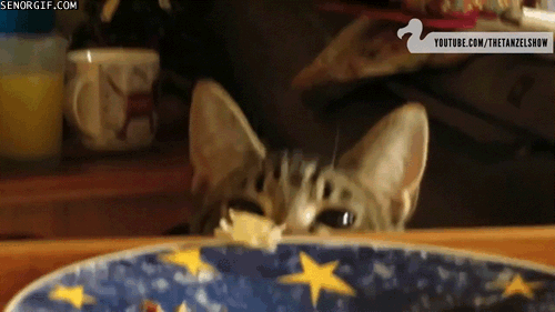 -31