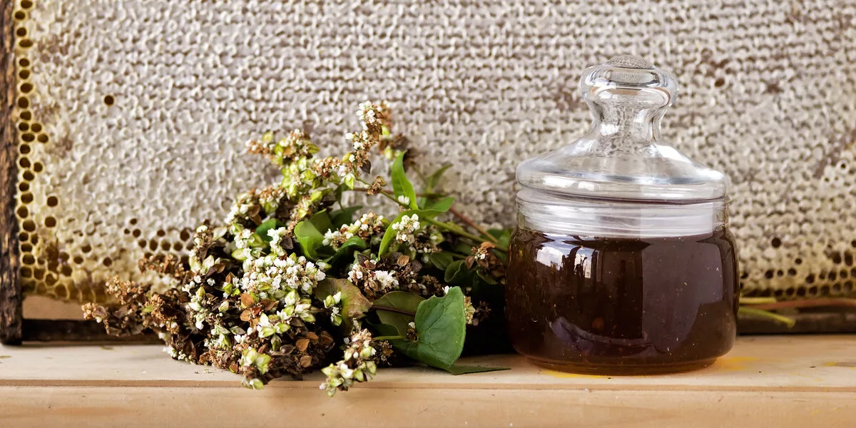 Изображение взято с Яндекс картинок 