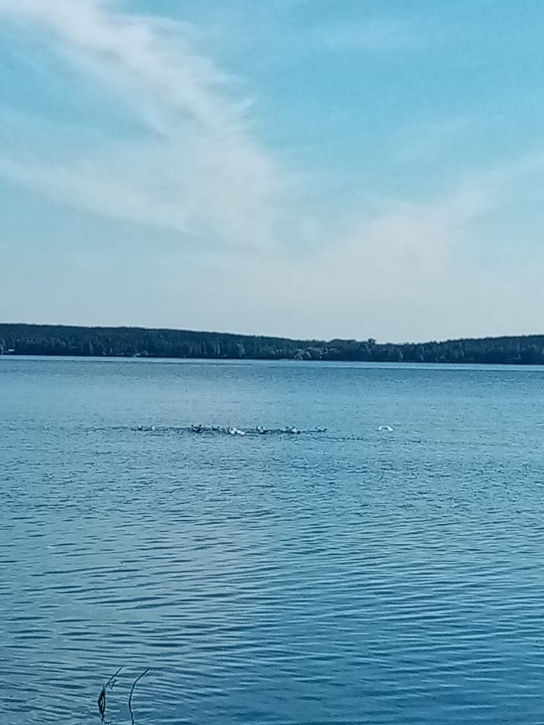 Озеро Шарташ