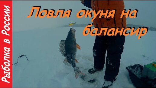 Ловля окуня на балансир видео, – как работает балансир под водой