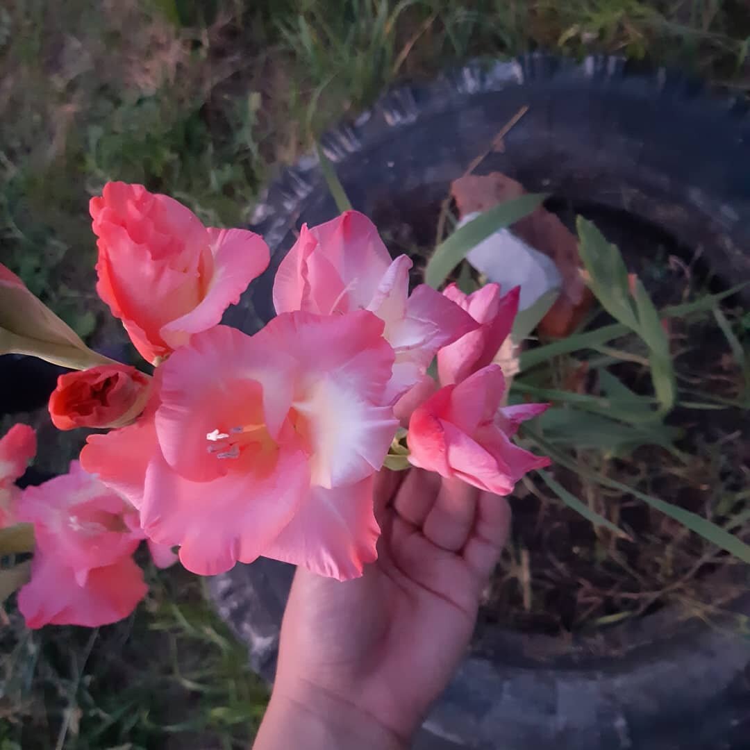 Ты ошибки свои поймешь

И не сможешь жить спокойно.