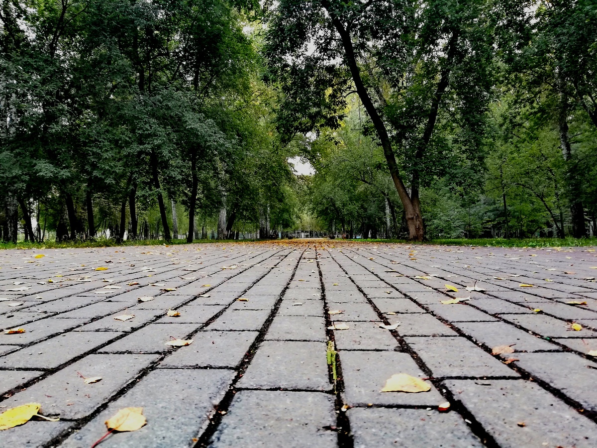 Похудение. Начало пути.