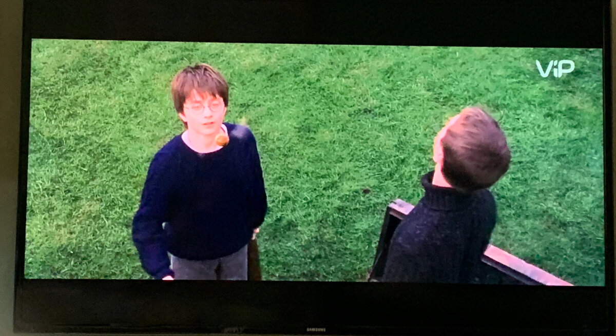 Гарри смотрит на цель, а его друг нет