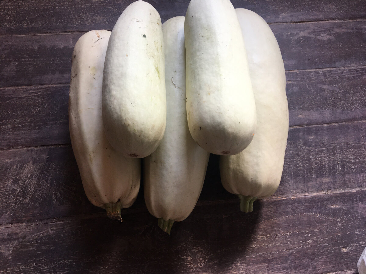 кабачки 