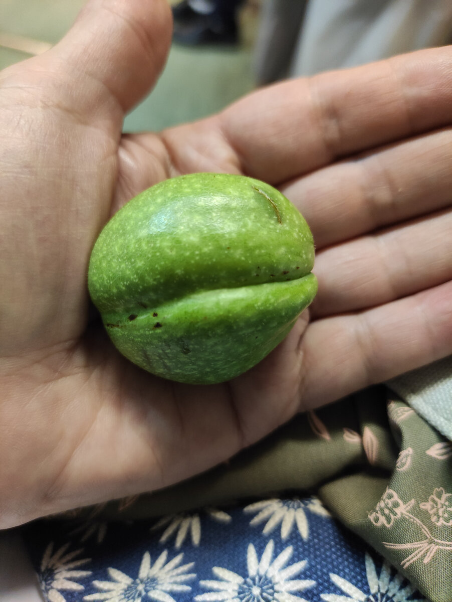 Сомнения отпали