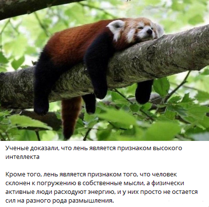 взято из открытых источников