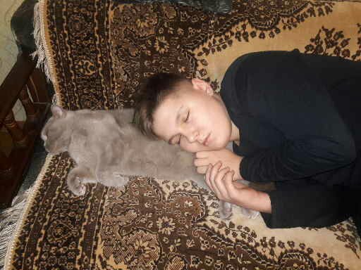 Когда прижимаешься к тёплому пушистику, тебя накрывает волной нежности.